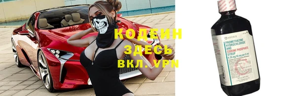 гидра Новозыбков