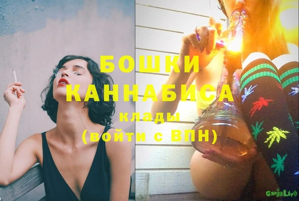 винт Нея