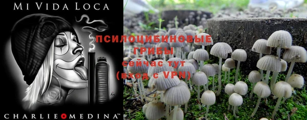 винт Нея