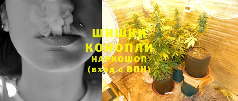 Марихуана White Widow  купить наркотик  Лукоянов 